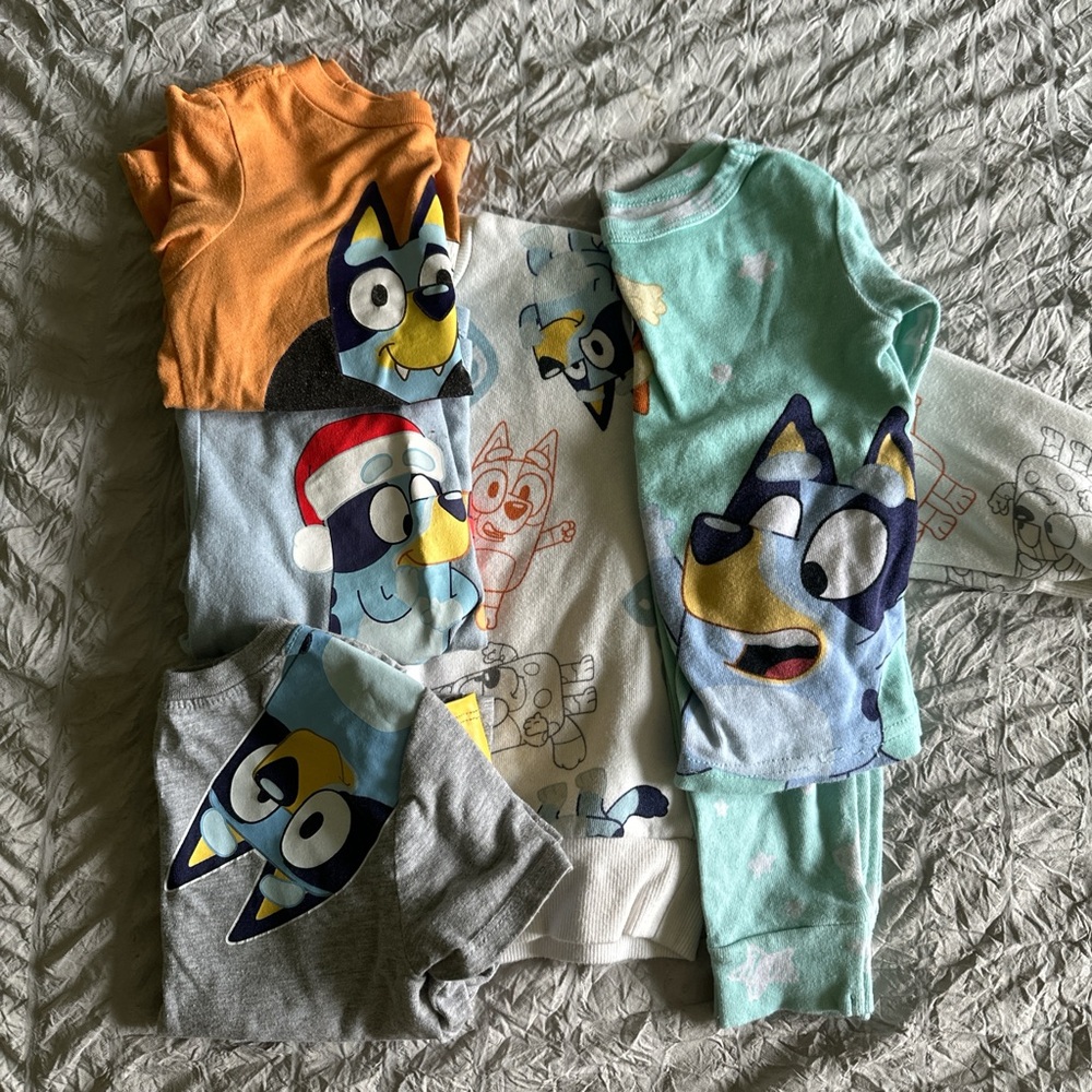 Bluey Kids clothing Bundle